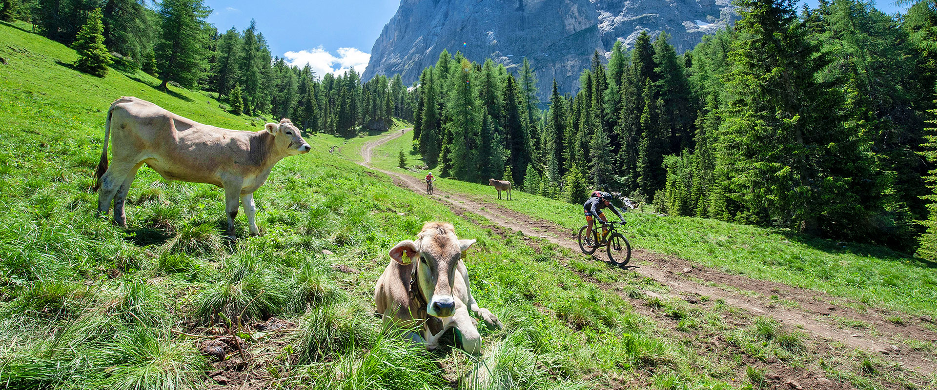 MTB School Val Gardena Dolomites